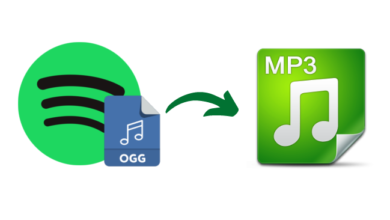 Cómo convertir Ogg de Spotify a MP3 para reproducirlo sin límites